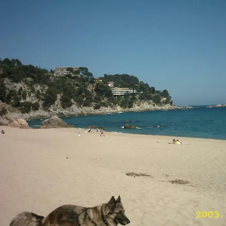 Jenny Τόσα ντε Μαρ