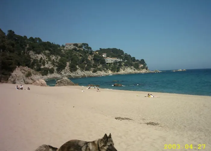 Jenny Тосса-де-Мар